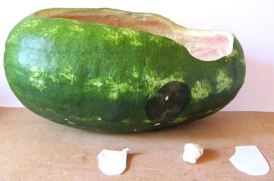 watermelon-rudders